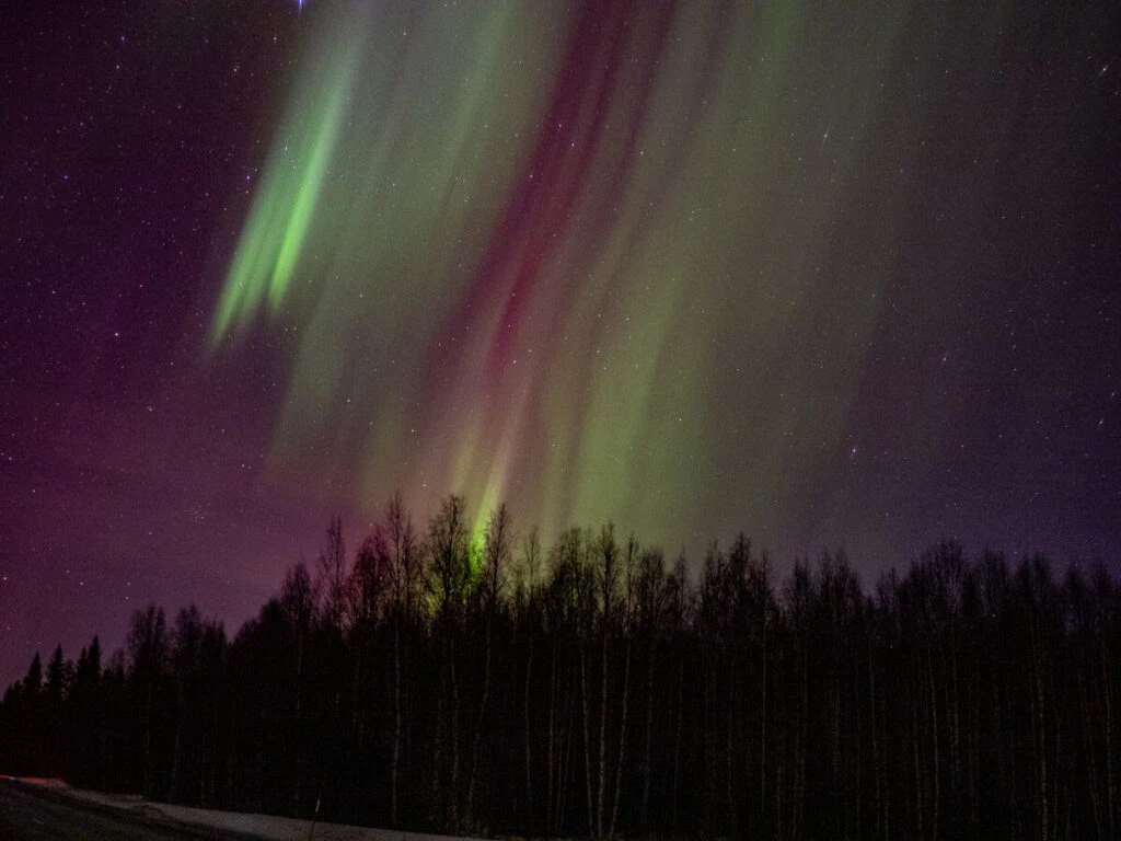 Northern Lights on display in Lapland 31