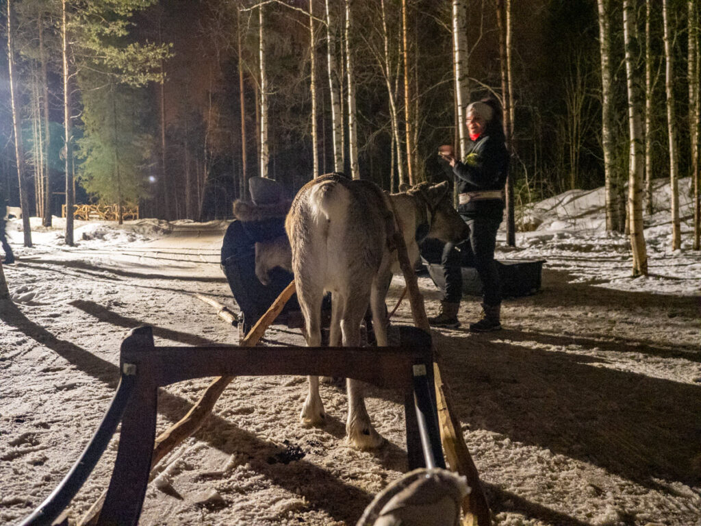 Reindeer sleigh across the night 2