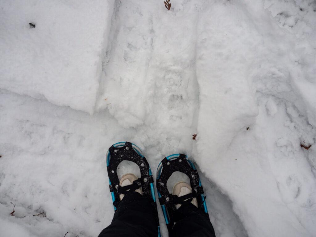 Snowshoes with tracks in the snow