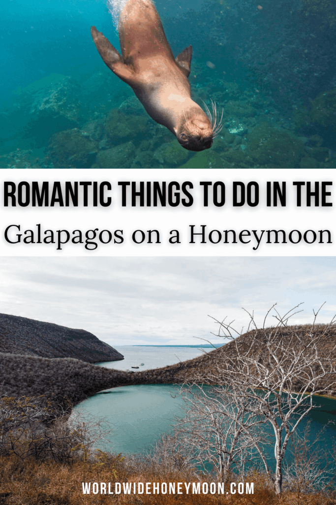 Dreaming of a honeymoon that’s wild, remote, and unforgettable? A Galápagos Islands honeymoon delivers adventure, luxury, and jaw-dropping nature all in one trip. This Galápagos travel guide breaks down how to plan Galápagos Islands travel, including tips for Galápagos Islands travel cruises, choosing the best Galapagos tours, and how to make your honeymoon truly special.