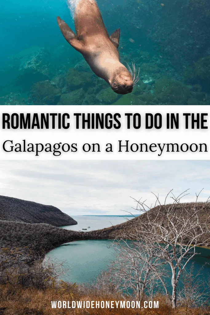 Dreaming of a honeymoon that&rsquo;s wild, remote, and unforgettable? A Gal&aacute;pagos Islands honeymoon delivers adventure, luxury, and jaw-dropping nature all in one trip. This Gal&aacute;pagos travel guide breaks down how to plan Gal&aacute;pagos Islands travel, including tips for Gal&aacute;pagos Islands travel cruises, choosing the best Galapagos tours, and how to make your honeymoon truly special.