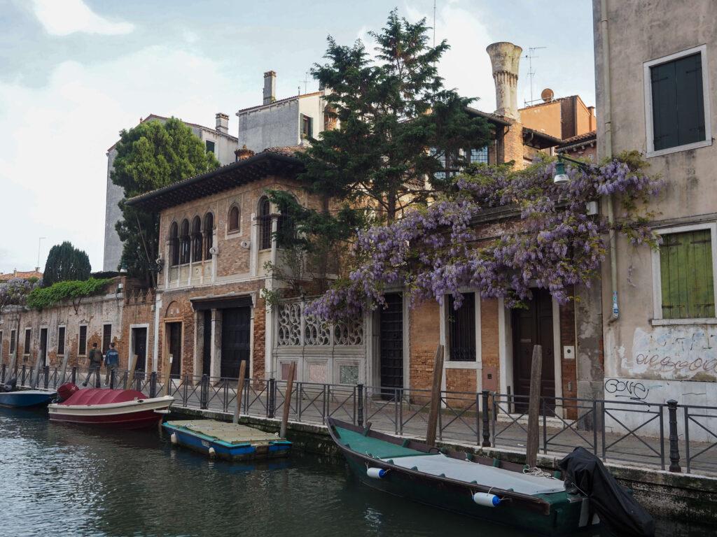 Wisteria topped building in Venice