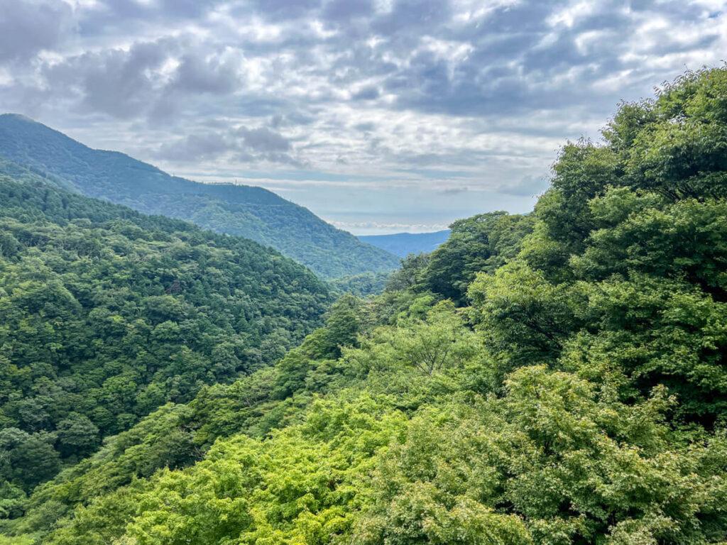 Mountain views in Hakone
