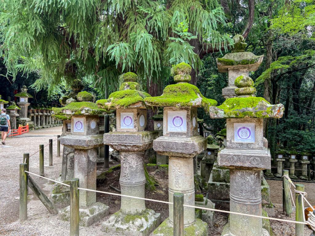 Stone lanterns in Nara