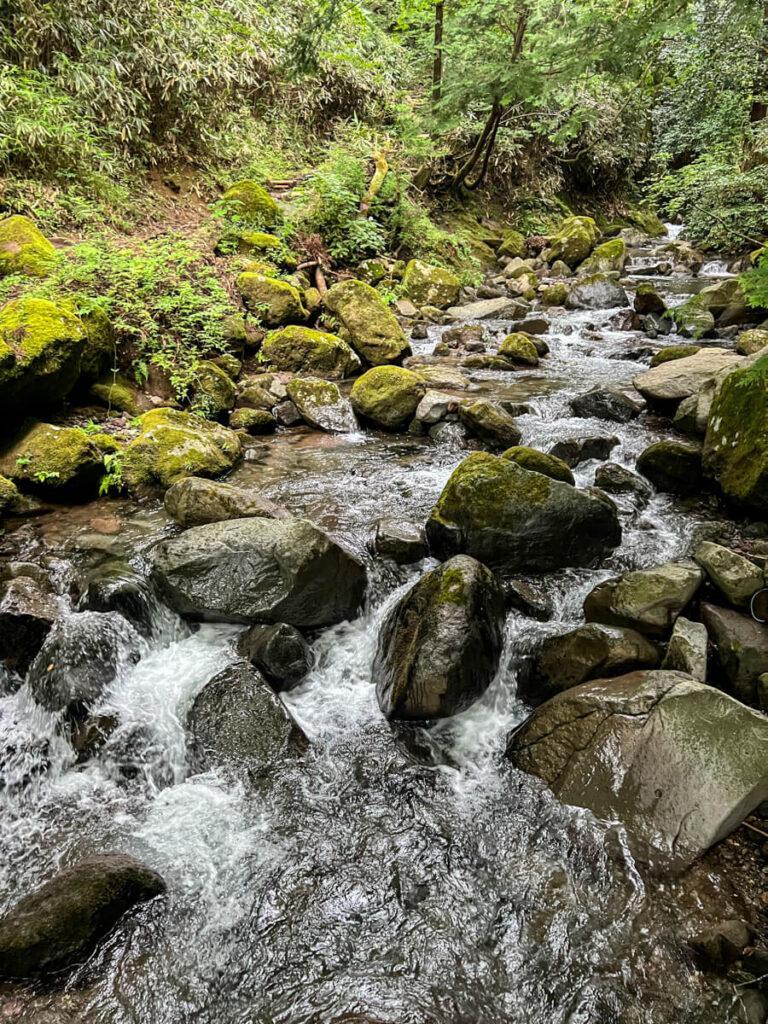 Stream in Hakone