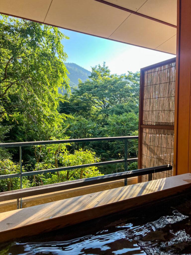 View of the mountain and greenery from our private onsen at Hakone Ryoken Ginyu