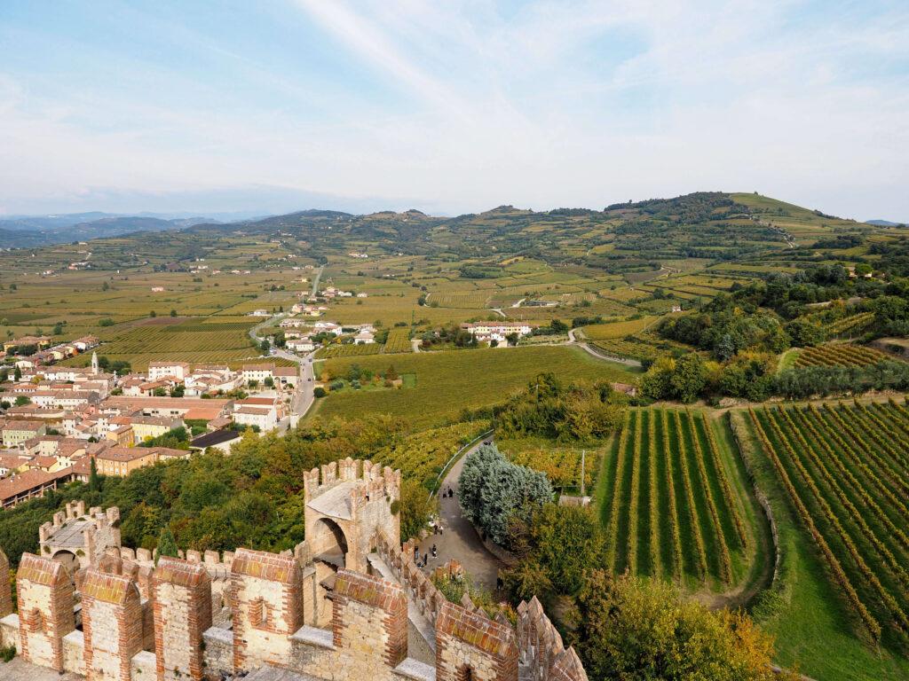 Vineyards of Soave seen from Castello di Soave