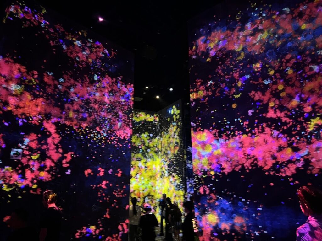 Teamlab Borderless in Tokyo
